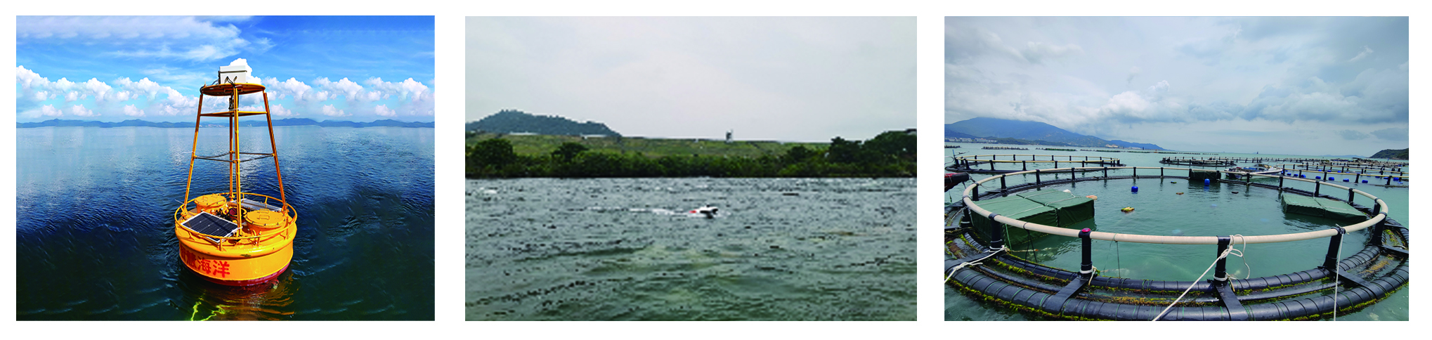 水(shuǐ)質營養鹽分析儀(圖2)