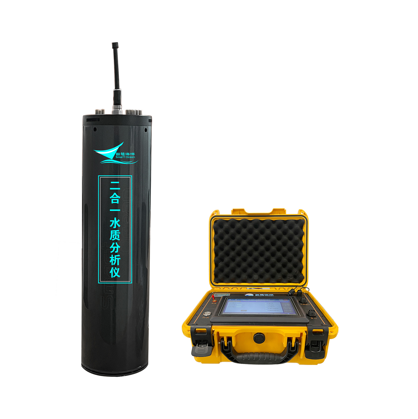二合一水(shuǐ)質分析儀(圖1)